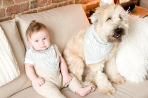 (Hooman) Baby and Pet Bib Set in Gray