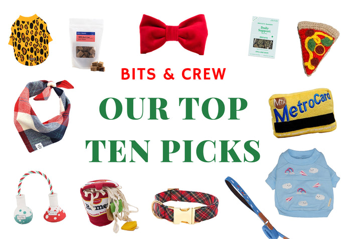 Our Top 10 Picks!