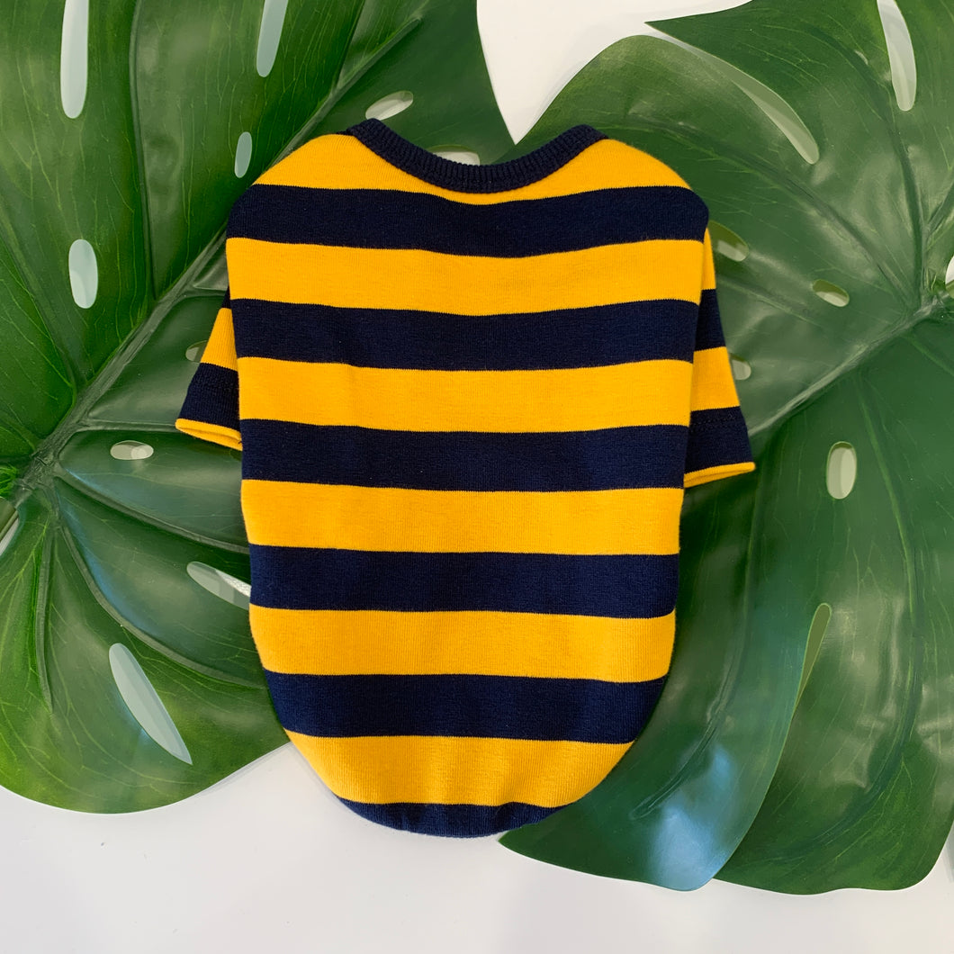 Striped Sweater Yellow/Blue