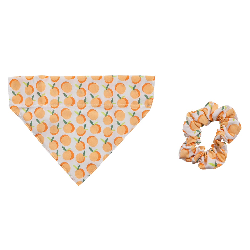 Matching Peach Pet Bandana and Owner Scrunchie Set