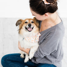 Load image into Gallery viewer, Matching Peach Pet Bandana and Owner Scrunchie Set