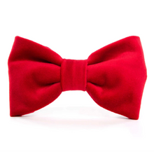 Load image into Gallery viewer, Cranberry Velvet Dog Bow Tie