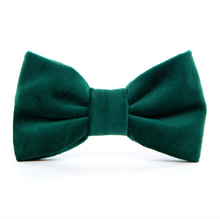 Load image into Gallery viewer, Forest Green Velvet Dog Bow Tie