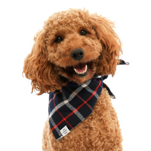 Load image into Gallery viewer, Oxford Plaid Flannel Dog Bandana