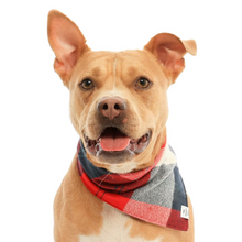 Load image into Gallery viewer, Mammoth Flannel Dog Bandana