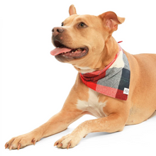 Load image into Gallery viewer, Mammoth Flannel Dog Bandana