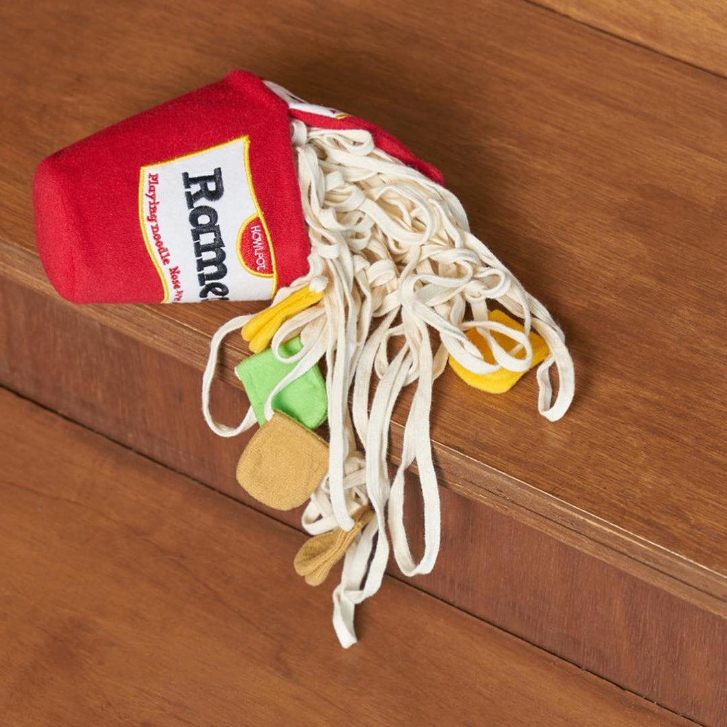 Ramen Noodle Toy